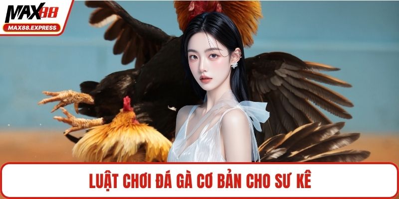 Luật chơi đá gà cơ bản cho sư kê